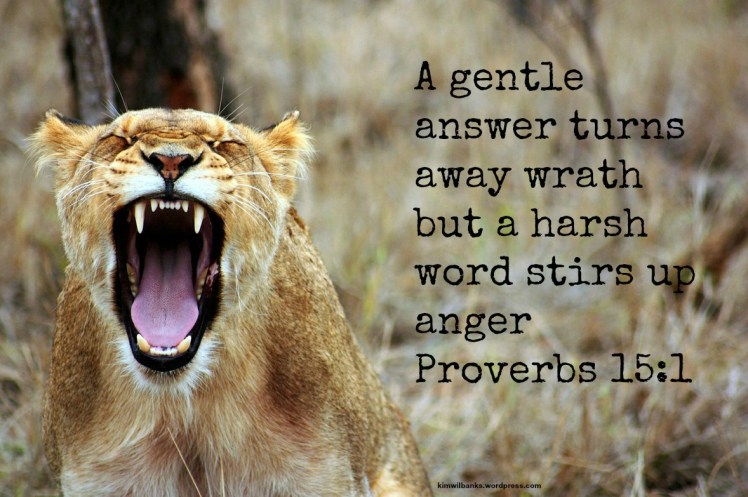 Lion - Gentle answer 2