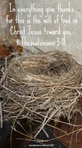 Empty Nest Give Thanks