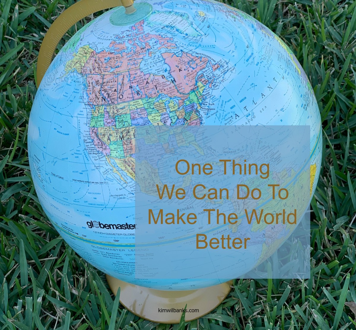 One Thing We Can Do To Make The World Better – Kim Wilbanks