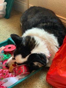 Giftwrapping Helper
