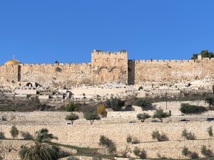 Walled-in Gate in Middle of Stone Wall