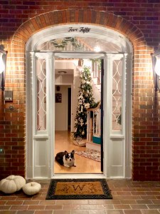 Looking into the white, opened door of a red brick home you see a black and white corgi in front of a Christmas tree