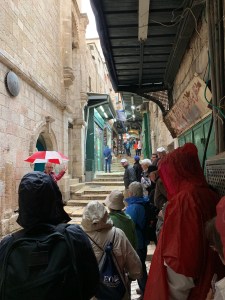 People on a narrow walkway with steps listening to a tour guide