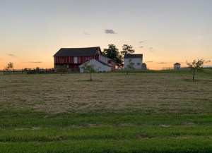 Red and white barn with white wood frame house next to it on a hill