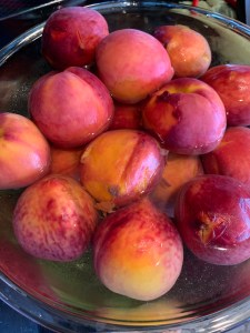 Bowl of Whole Peaches
