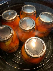 Jars of peaches in canning pot