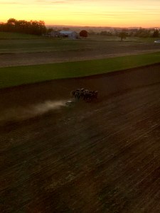 Woman working in a field at dusk