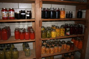 Shelves of canned fruits and vegetables