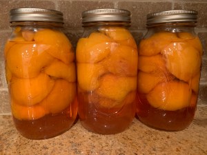 Three glass jars of peaches